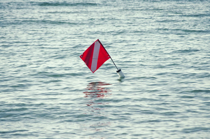 The role of Diving Flags